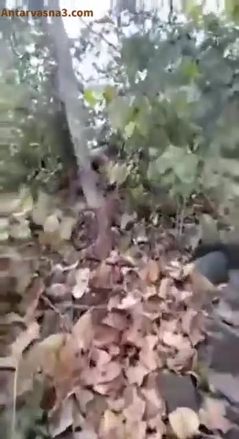 देसी आंटी अंकल की जंगल में हार्ड चुदाई का एमएमएस